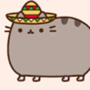 Meet your Posher, Meghan